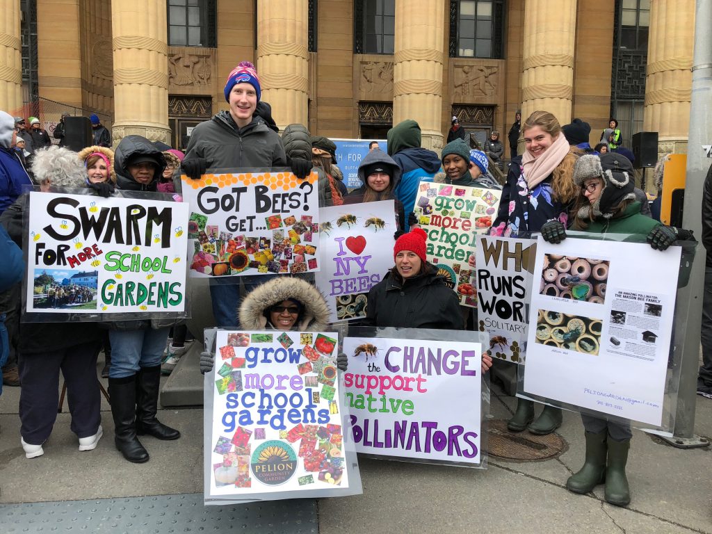 Rally for bees at City Hall