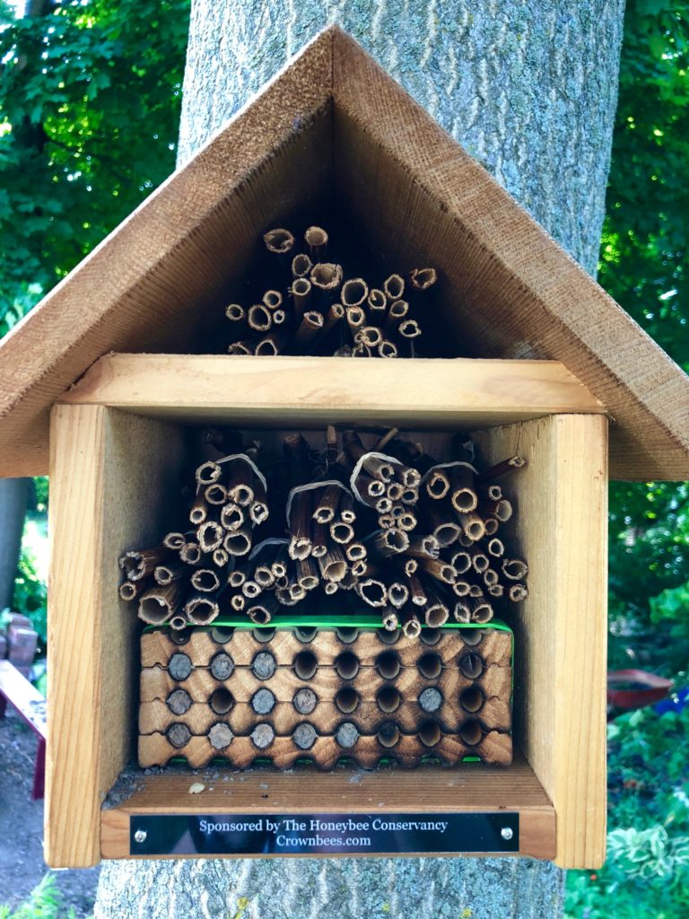 A home for mason bees