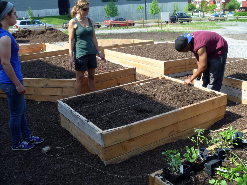 Pelion Community Gardens at City Honors