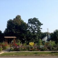 Full Circle Garden – Bruce Adams at Buffalo Spree